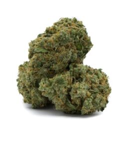 Candy Jack Sativa