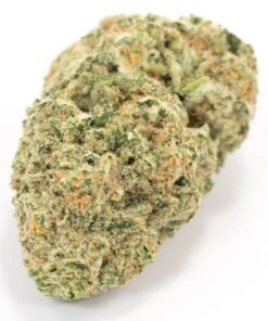 Strawberry Cough Sativa